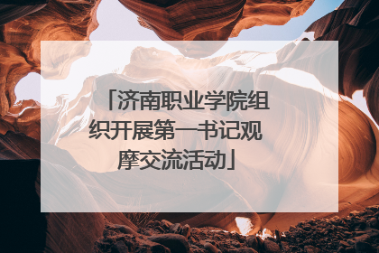 济南职业学院组织开展第一书记观摩交流活动