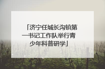 济宁任城长沟镇第一书记工作队举行青少年科普研学