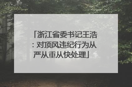 浙江省委书记王浩：对顶风违纪行为从严从重从快处理