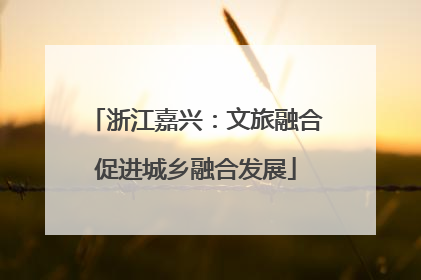 浙江嘉兴：文旅融合促进城乡融合发展