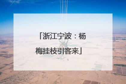 浙江宁波：杨梅挂枝引客来