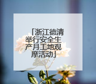 浙江德清举行安全生产月工地观摩活动
