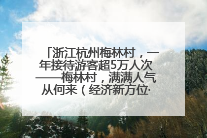 浙江杭州梅林村，一年接待游客超5万人次——梅林村，满满人气从何来（经济新方位·农村消费观察）