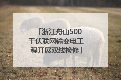 浙江舟山500千伏联网输变电工程开展双线检修