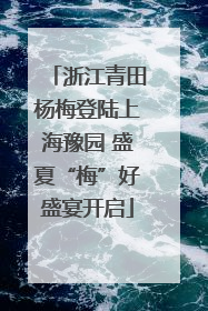 浙江青田杨梅登陆上海豫园 盛夏“梅”好盛宴开启