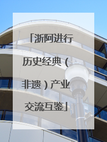 浙阿进行历史经典（非遗）产业交流互鉴