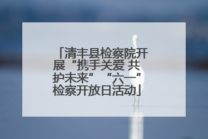 清丰县检察院开展“携手关爱 共护未来”“六一”检察开放日活动