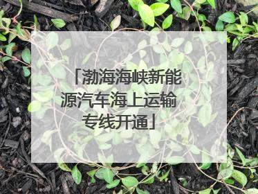 渤海海峡新能源汽车海上运输专线开通