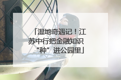 湿地奇遇记！江苏中行把金融知识“种”进公园里