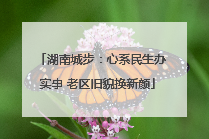 湖南城步：心系民生办实事 老区旧貌换新颜