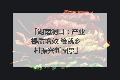 湖南洞口：产业提质增效 绘就乡村振兴新图景
