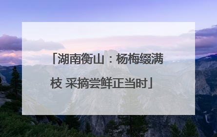 湖南衡山：杨梅缀满枝 采摘尝鲜正当时
