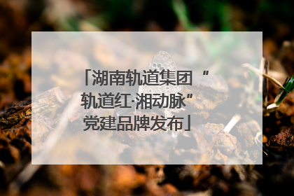 湖南轨道集团“轨道红·湘动脉”党建品牌发布