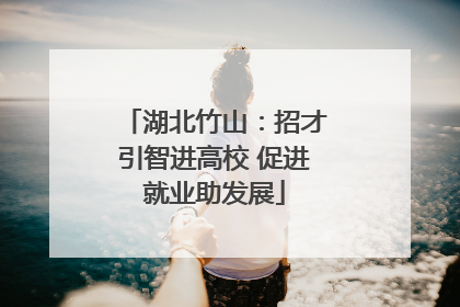 湖北竹山：招才引智进高校 促进就业助发展