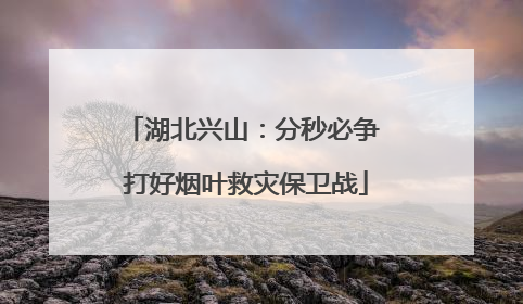 湖北兴山：分秒必争 打好烟叶救灾保卫战