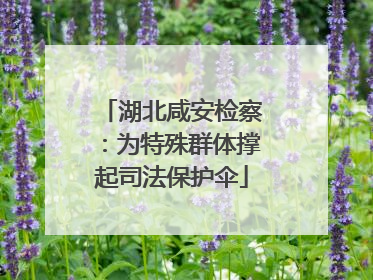 湖北咸安检察：为特殊群体撑起司法保护伞