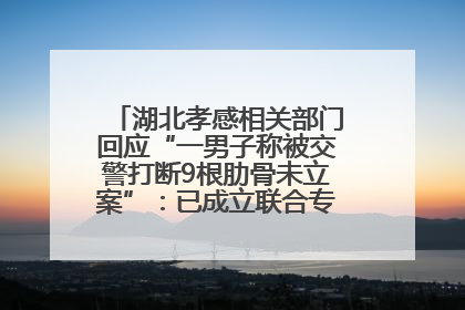 湖北孝感相关部门回应“一男子称被交警打断9根肋骨未立案”：已成立联合专班开展工作