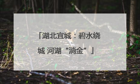 湖北宜城：碧水绕城 河湖“淌金”