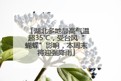 湖北多地最高气温超35℃，受台风“蝴蝶”影响，本周末将迎强降雨