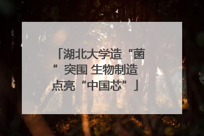 湖北大学造“菌”突围 生物制造点亮“中国芯”