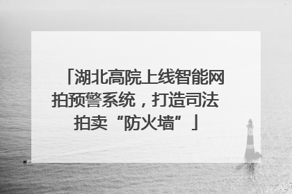 湖北高院上线智能网拍预警系统，打造司法拍卖“防火墙”