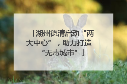 湖州德清启动“两大中心”，助力打造“无毒城市”