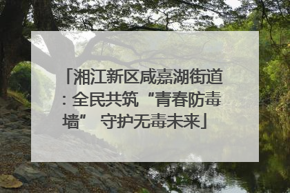 湘江新区咸嘉湖街道：全民共筑“青春防毒墙” 守护无毒未来