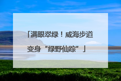 满眼翠绿！威海步道变身“绿野仙踪”