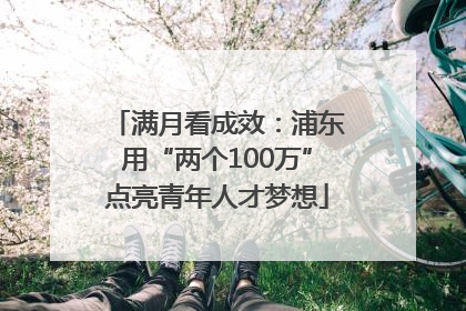 满月看成效：浦东用“两个100万”点亮青年人才梦想