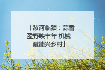 漯河临颍：蒜香盈野映丰年 机械赋能兴乡村