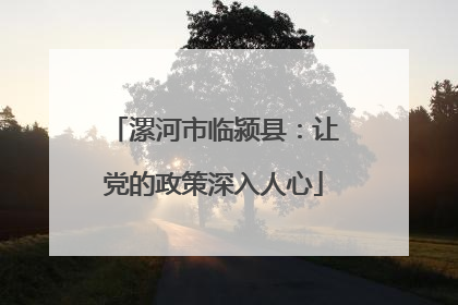 漯河市临颍县：让党的政策深入人心
