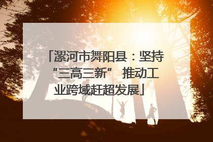 漯河市舞阳县：坚持“三高三新” 推动工业跨域赶超发展