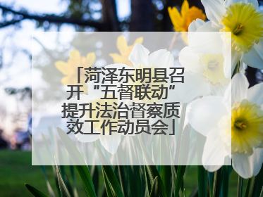 菏泽东明县召开“五督联动”提升法治督察质效工作动员会