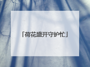 荷花盛开守护忙
