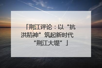 荆江评论：以“抗洪精神”筑起新时代“荆江大堤”