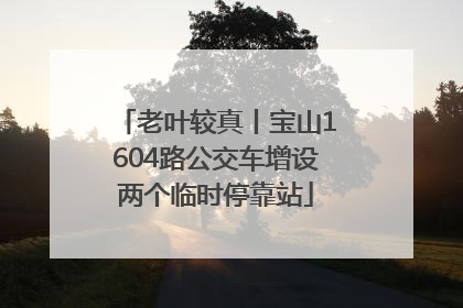 老叶较真丨宝山1604路公交车增设两个临时停靠站
