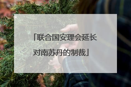 联合国安理会延长对南苏丹的制裁
