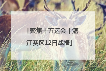 聚焦十五运会｜湛江赛区12日战报
