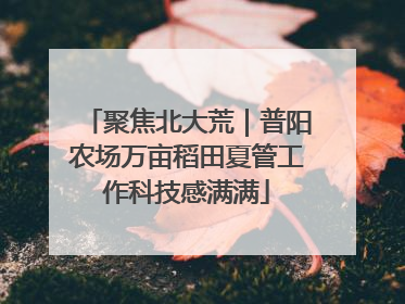 聚焦北大荒｜普阳农场万亩稻田夏管工作科技感满满