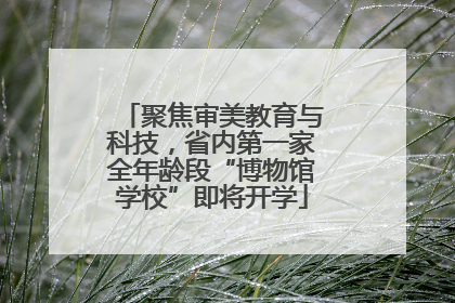 聚焦审美教育与科技，省内第一家全年龄段“博物馆学校”即将开学