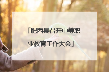 肥西县召开中等职业教育工作大会