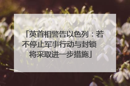 英首相警告以色列：若不停止军事行动与封锁 将采取进一步措施