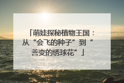 萌娃探秘植物王国：从“会飞的种子”到“善变的绣球花”