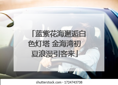 蓝紫花海邂逅白色灯塔 金海湾初夏浪漫引客来