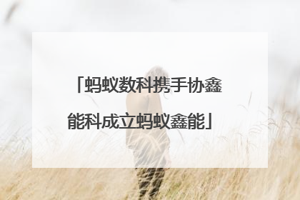 蚂蚁数科携手协鑫能科成立蚂蚁鑫能
