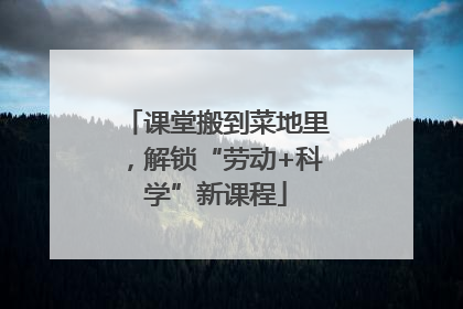 课堂搬到菜地里，解锁“劳动+科学”新课程