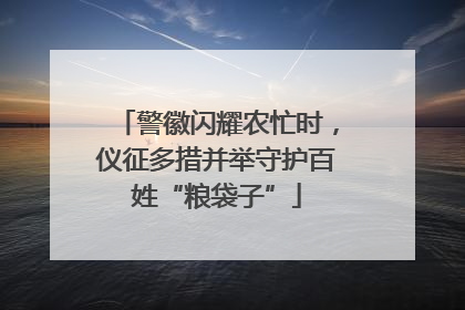 警徽闪耀农忙时，仪征多措并举守护百姓“粮袋子”