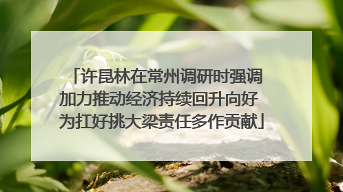 许昆林在常州调研时强调 加力推动经济持续回升向好 为扛好挑大梁责任多作贡献