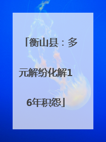衡山县:多元解纷化解16年积怨
