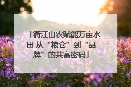 衢江山农赋能万亩水田 从“粮仓”到“品牌”的共富密码